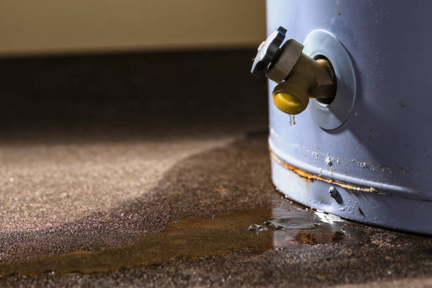 Best Water damage cleanup near me  in Ranlo, NC