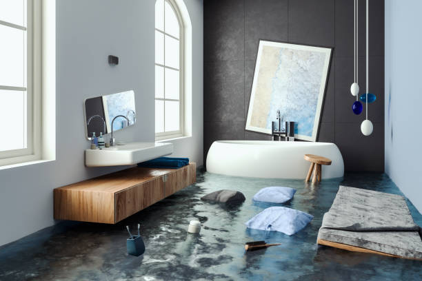 Best Sewage cleanup and water damage restoration  in Ranlo, NC