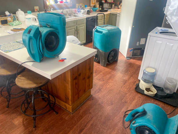 Best Emergency water damage restoration  in Ranlo, NC