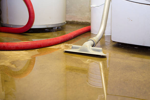 Best Commercial water damage restoration  in Ranlo, NC