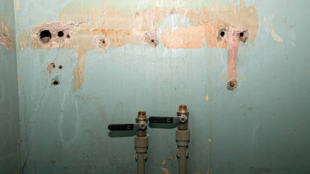 Best Basement water damage restoration  in Ranlo, NC
