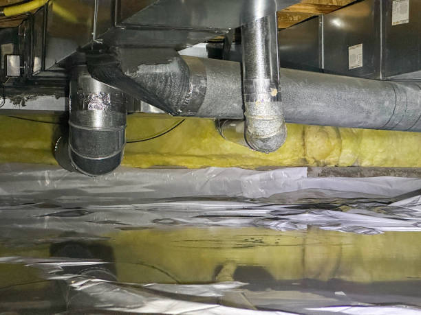 Best Water damage restoration near me  in Ranlo, NC