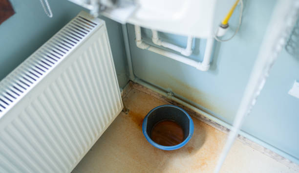 Best Flooded house restoration  in Ranlo, NC