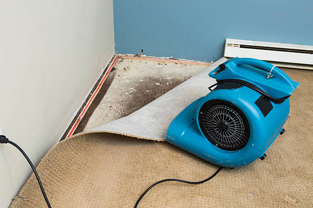 Best 24/7 water damage repair  in Ranlo, NC